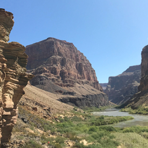 Grand Canyon River Scene